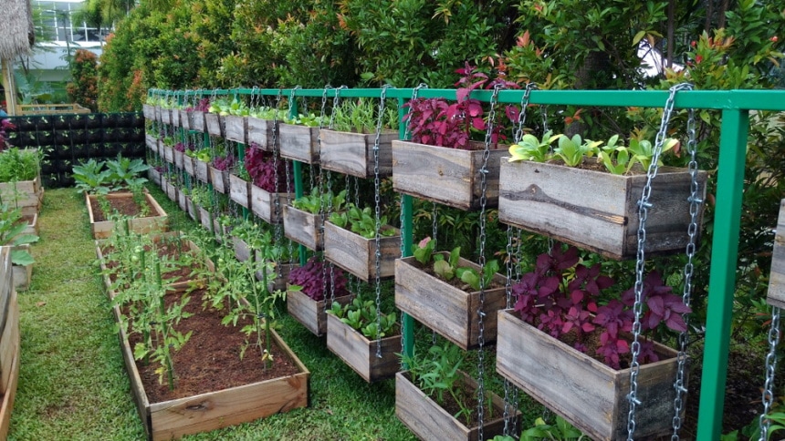 20 DIY Vegetable Garden Plans You Can Make Today (With Pictures