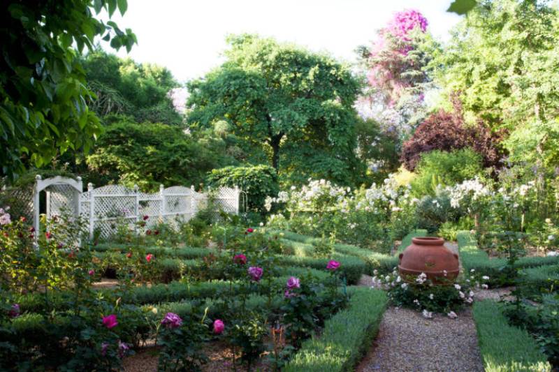 12 DIY Rose Garden Plans You Can Make Today (With Pictures) | House Grail