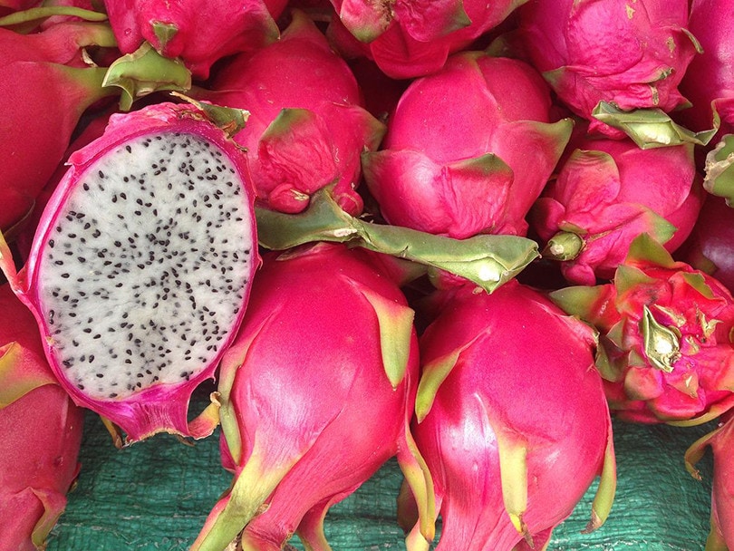 5-types-of-dragon-fruit-with-pictures-house-grail