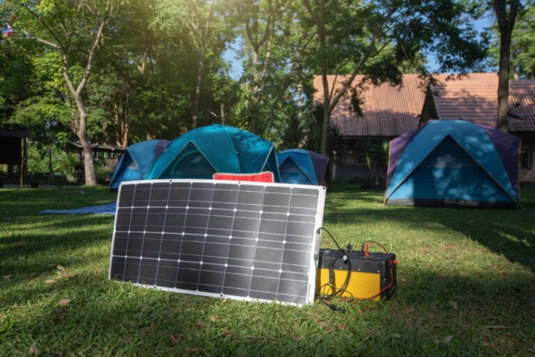Flexible Solar Panel In The Field Pentium5 Shutterstock 768x512 