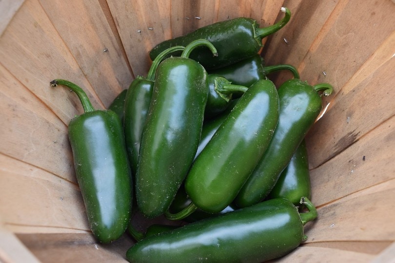 jalapeno peppers inside wooden container