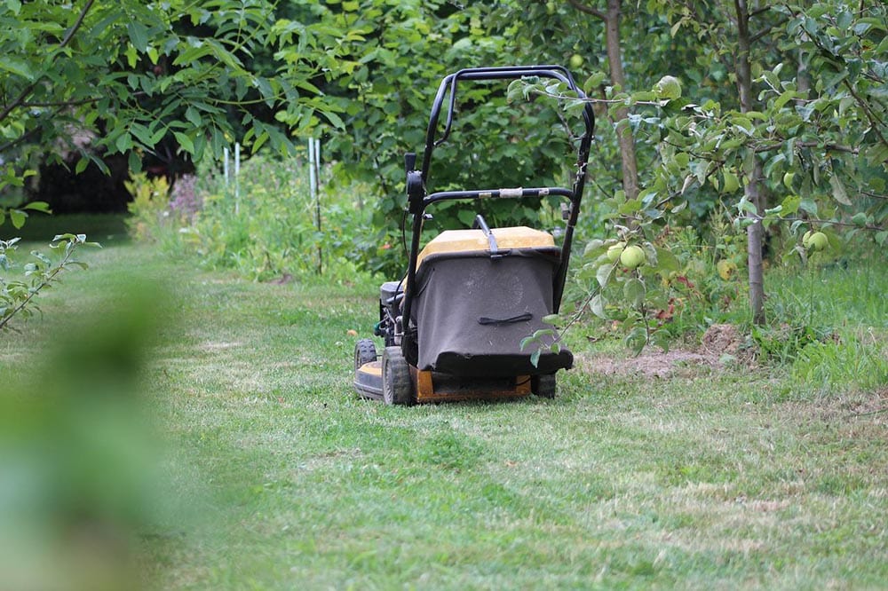 lawnmower in the middle of the garden
