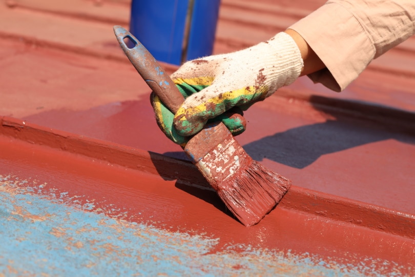 painting metal roof