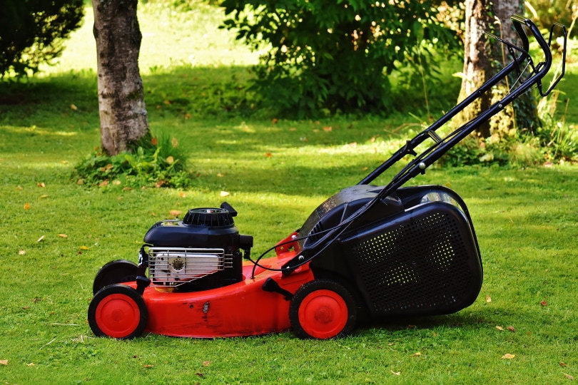 red lawn mower in the field