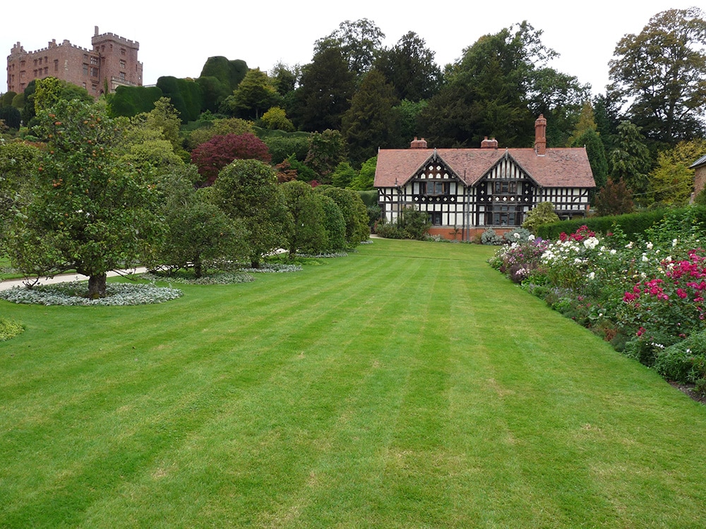 Lawn Pattern