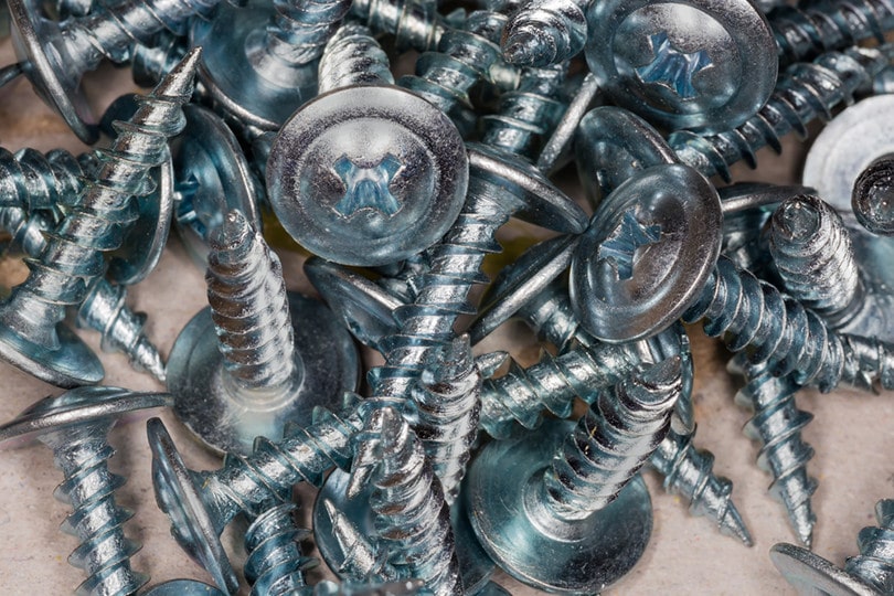 Pan Head Screw