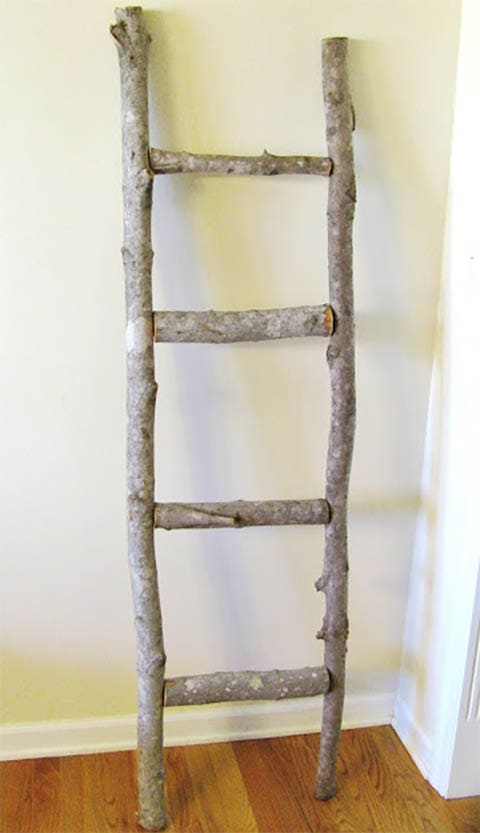 Patio Ladder