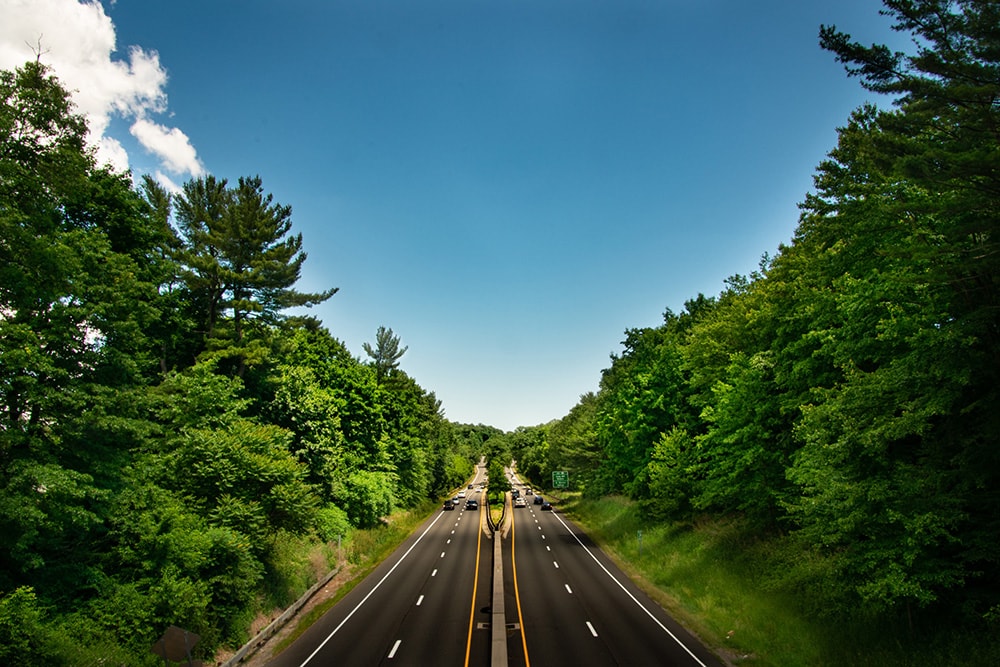 Trees in Connecticut_Christopher Luther_Unsplash