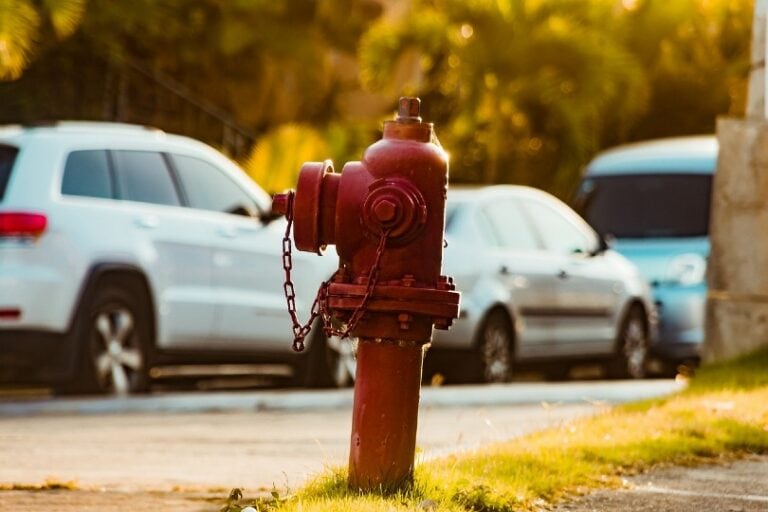 A Red Fire Hydrant By The Street FOTEROS Pixabay 768x512 