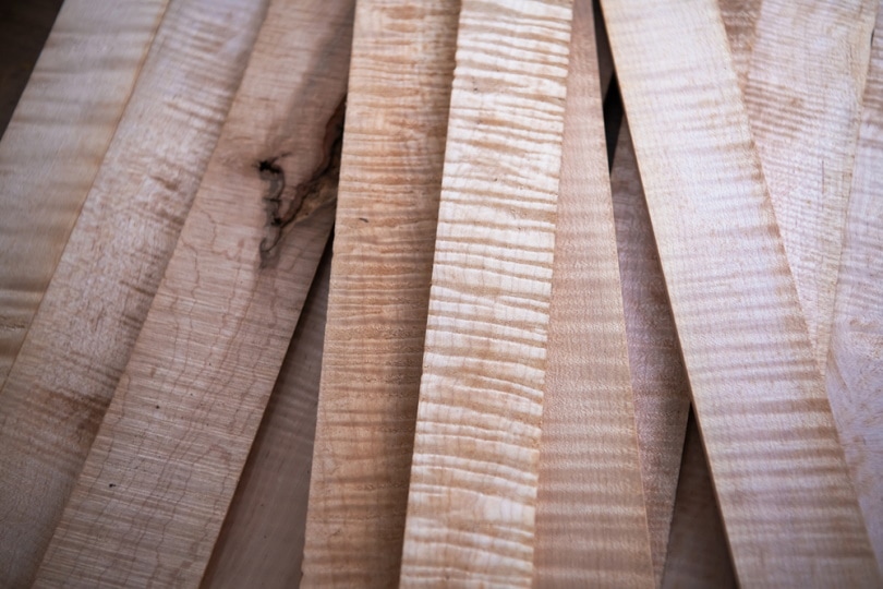 What Is Curly Maple Wood? Properties, Characteristics & Uses | House Grail