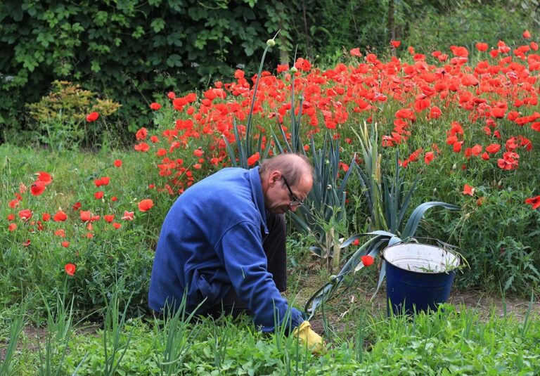 does-boiling-water-kill-weeds-facts-faq-house-grail