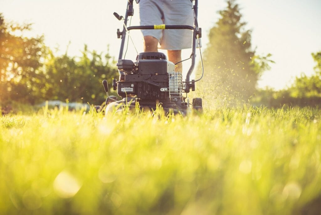person cutting grass with lawn mower