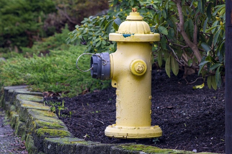 How Close Can You Park to a Fire Hydrant? Rules, Types & FAQ | House Grail