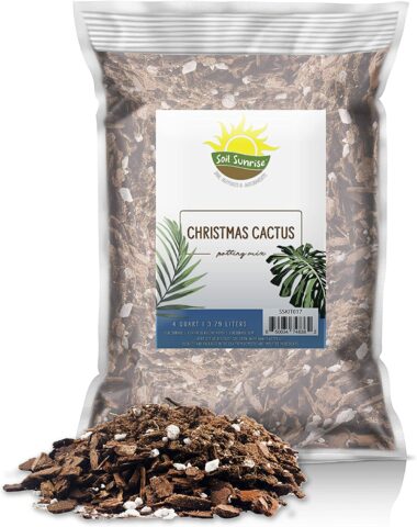 Christmas Cactus Potting Soil Mix