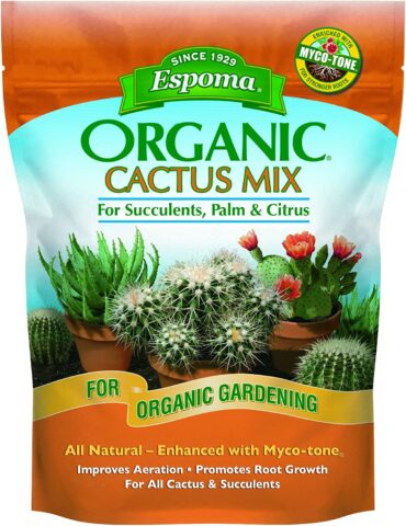 Espoma Organic Cactus Potting Soil Mix