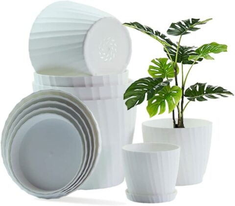 6 Pack Simple Plastic Plant Pots with Drainage Hole and Saucer