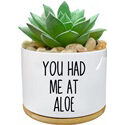 WHING You Had Me at Aloe White Ceramic