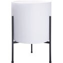 Modern White Plants Pot Cylinder Planter