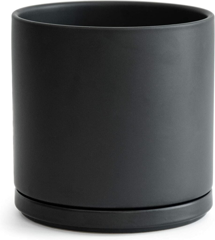 D'vine Dev 10 Inch Ceramic Planter Pot with Drainage Hole and Saucer