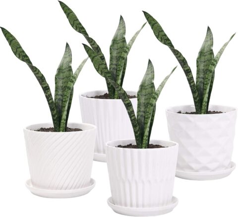 Plant Pots - 5.5 Inch Cylinder Ceramic Planters with Connected Saucer