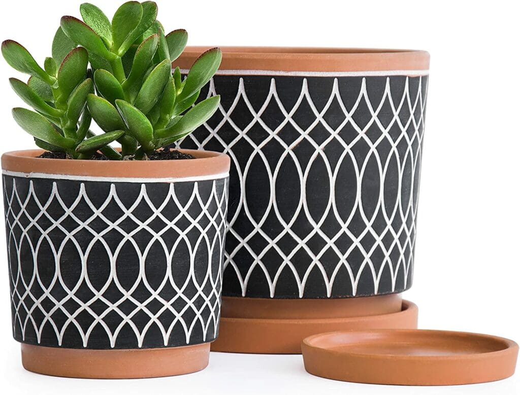 Set of 2 Terracotta Pots