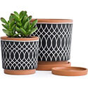 D’vine Dev Terracotta Pots