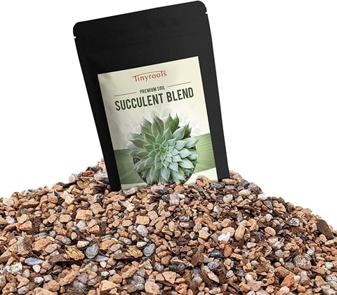 Tinyroots Succulent Soil