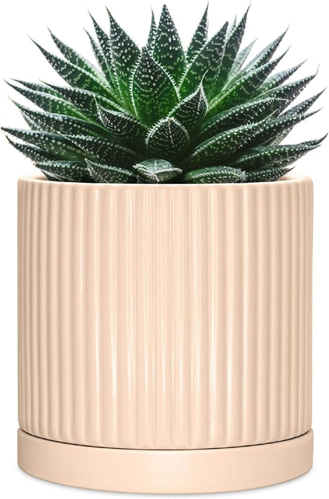6 Inch Flower Pot -This Ceramic Planter with Saucer