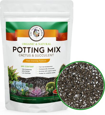Organic Potting Soil, Cactus and Succulent Soil Mix