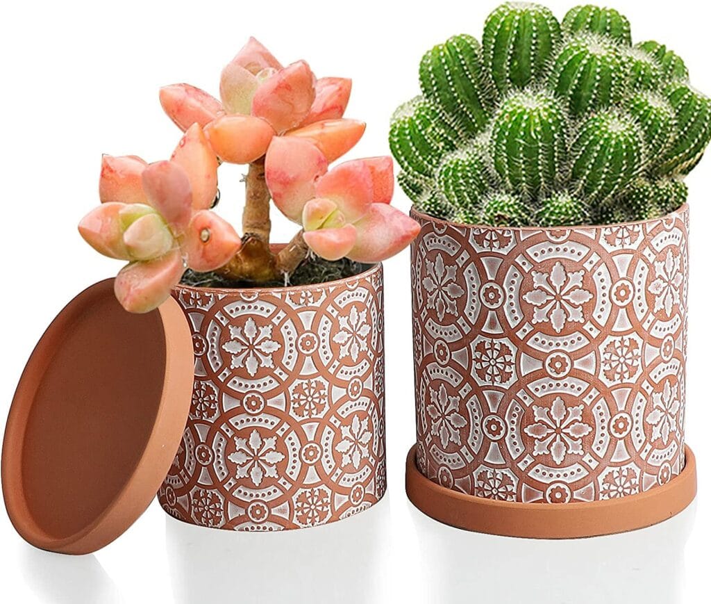 Terracotta Planter Pots
