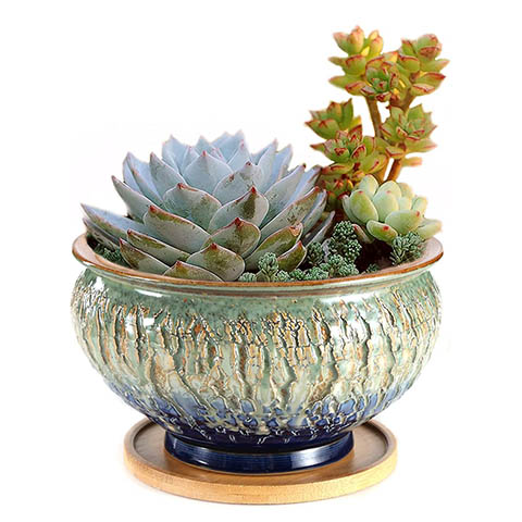 Color Glazed, Vintage Succulent Pot