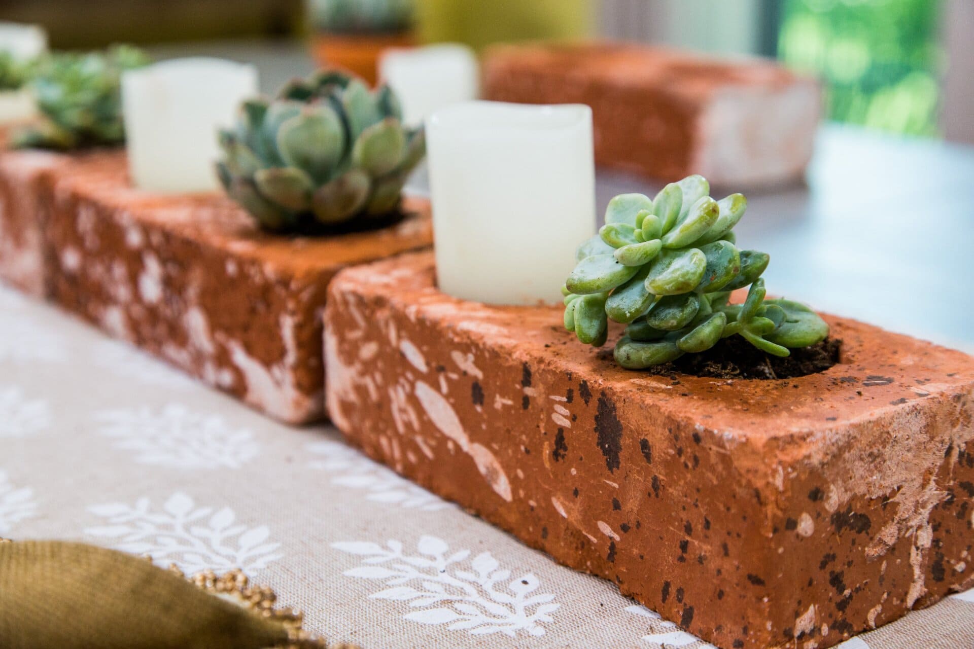 Succulent Containers by Hallmark Channel