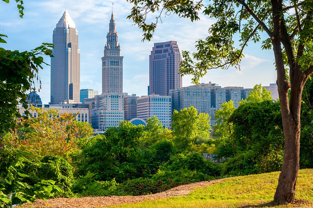 Trees in Ohios_Kenneth Sponsler_Shutterstock