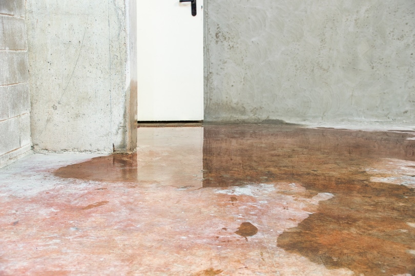 basement leaking