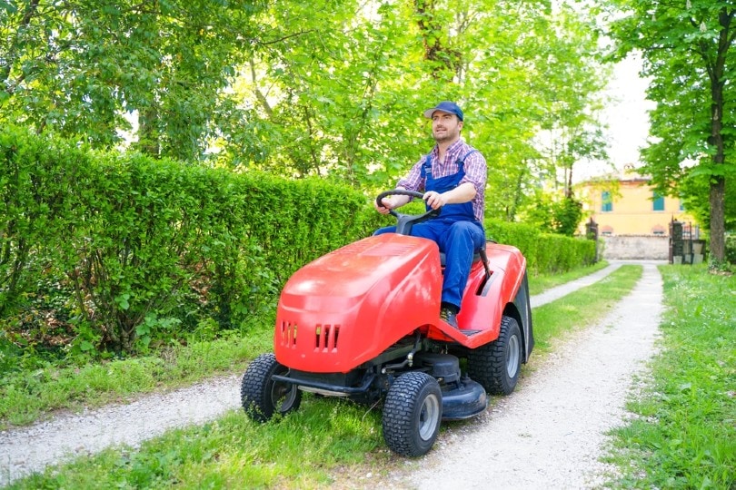gardener on a riding lawn mower