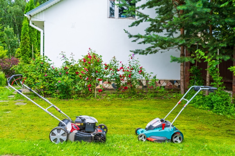 Pick up leaves with best sale lawn mower