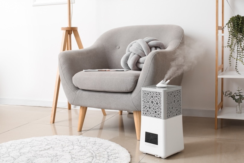 humidifier near armchair