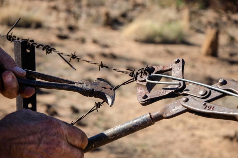 man using fencing pliers