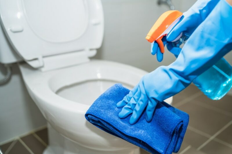 Can I Use CLR in a Toilet? Pros, Cons & Maintenance Tips House Grail