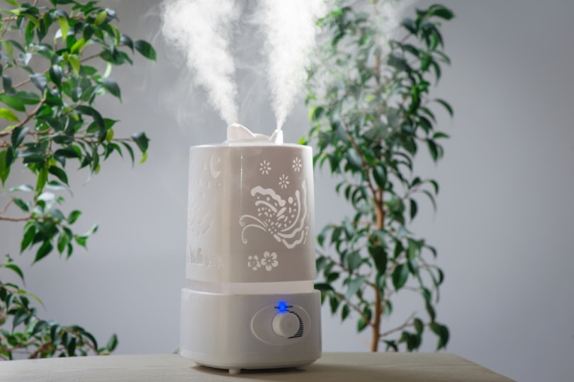 Where Do I Put a Humidifier in my Bedroom? 4 Best Places | House Grail