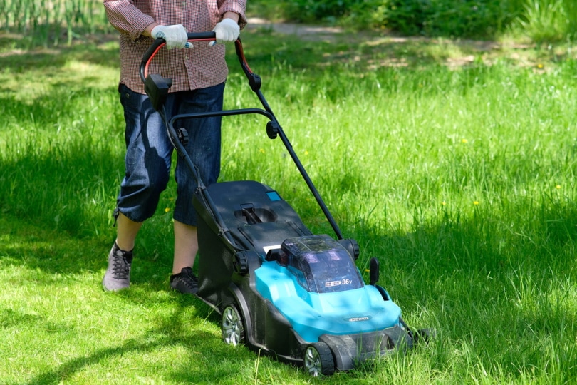 How to Start a Lawn Mowing Business: Tips & Tricks | House Grail
