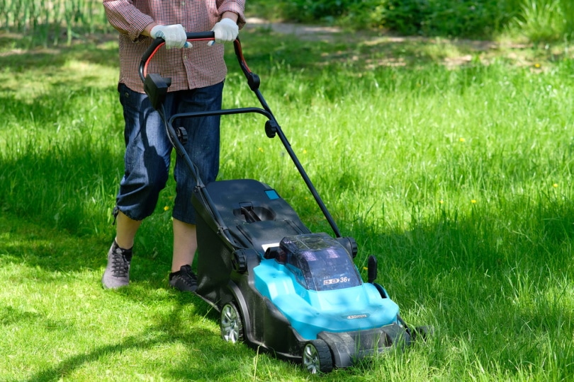 Makita XML08 Lawn Mower Review 2024 Pros Cons FAQ Verdict