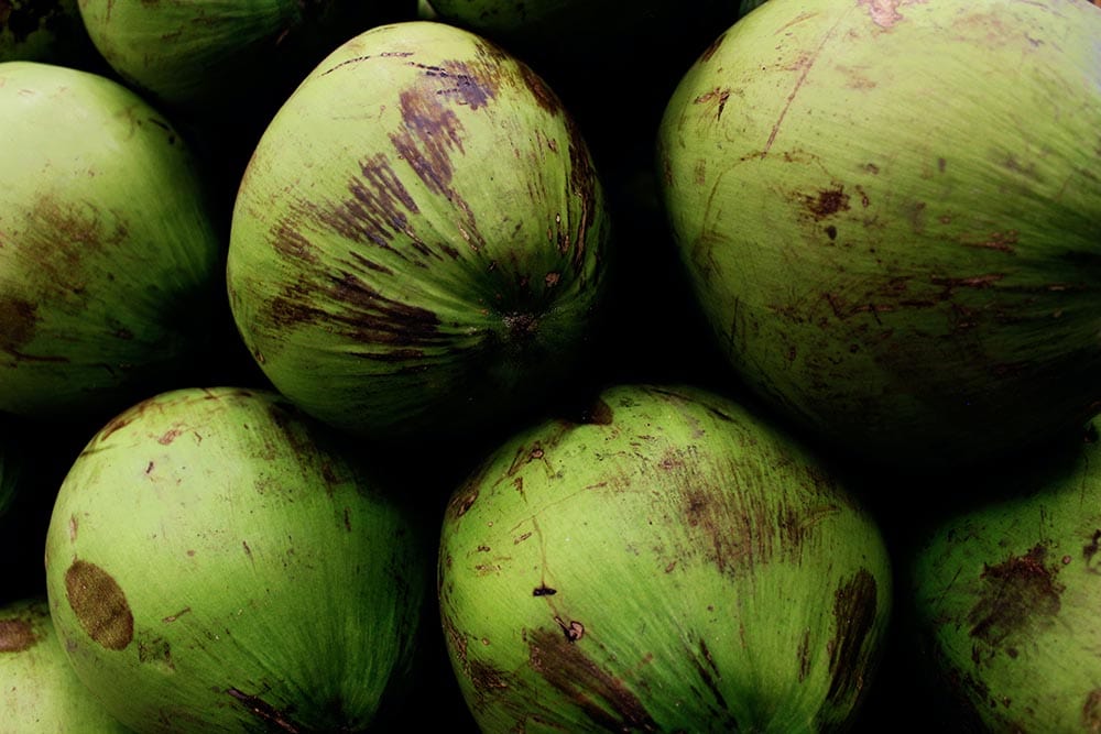 A Pile of Coconuts