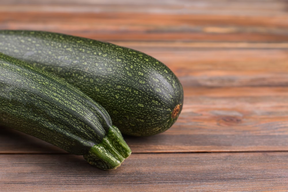 Black beauty zucchini