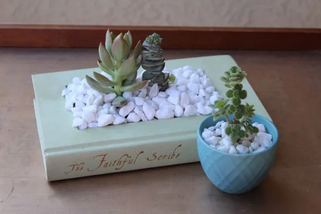 Book Planter by Happily Dwell