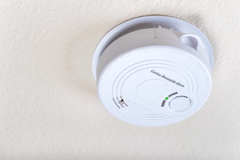 7-types-of-carbon-monoxide-detectors-with-pictures-house-grail