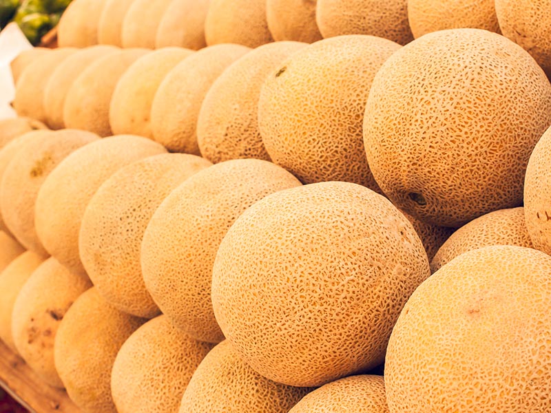 Fresh cantaloupe at the local farmers market