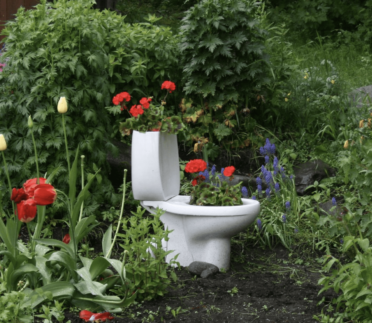 Garden Toilet- flickr