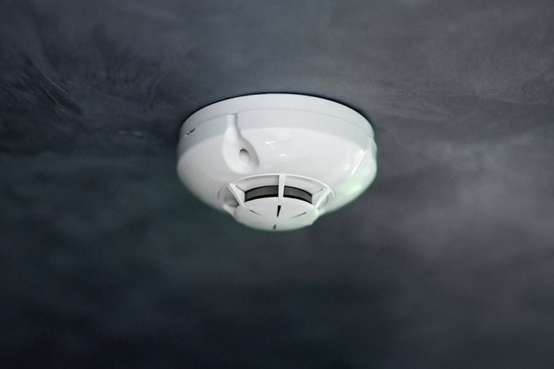 what-is-a-photoelectric-smoke-detector-pros-cons-types-faq