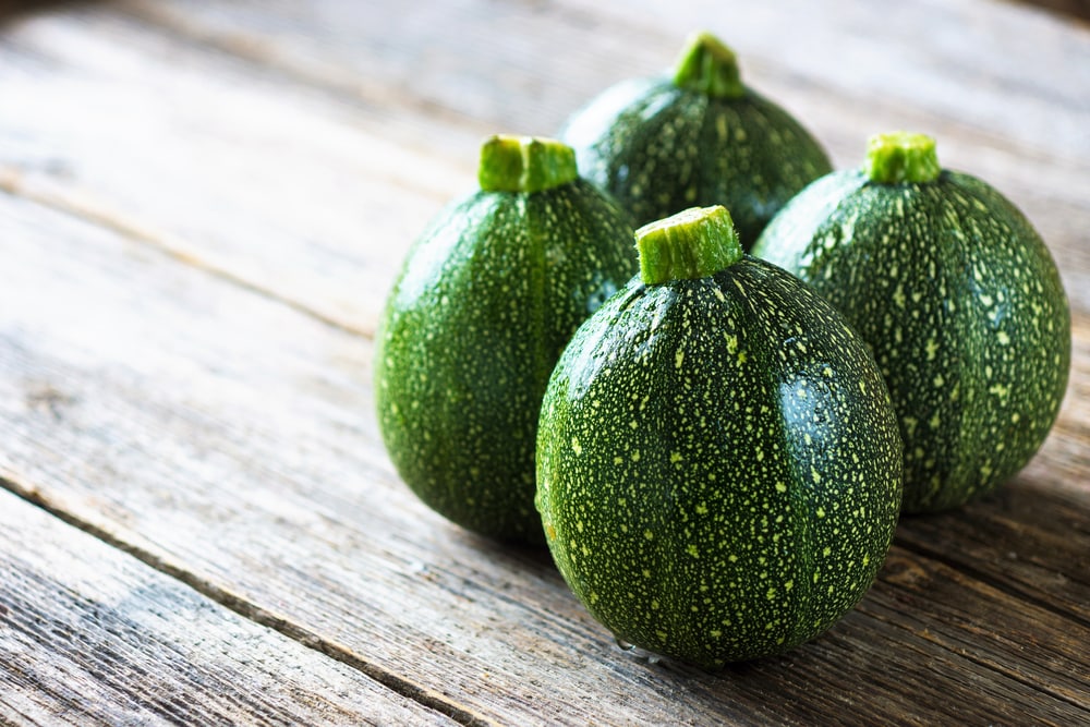 Round zucchini